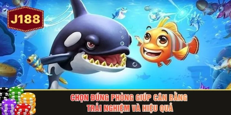 Chọn đúng phòng giúp cân bằng trải nghiệm và hiệu quả