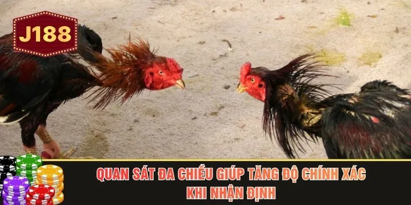 Quan sát đa chiều giúp tăng độ chính xác khi nhận định