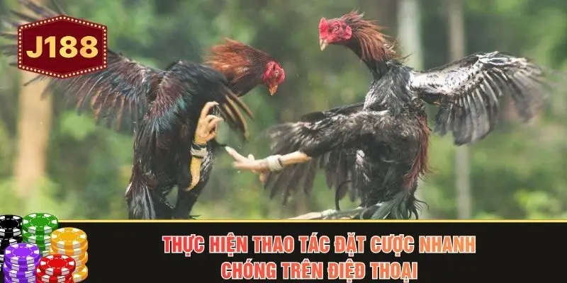 Thực hiện thao tác đặt cược nhanh chóng trên điệđ thoại